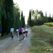eroica, toc toc firenze