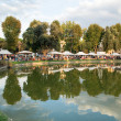 Mercatino dell'usato, Toc toc firenze, Elisabetta Pallini