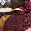 vendemmia, toc toc firenze, valentina borgioli