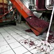 vendemmia, toc toc firenze, valentina borgioli