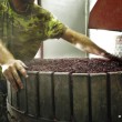 vendemmia, toc toc firenze, valentina borgioli