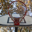 campi da basket, toc toc firenze
