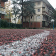 campi da basket, toc toc firenze