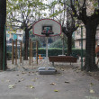 campi da basket, toc toc firenze