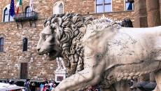 politica, toc toc firenze