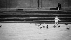 san lorenzo, toc toc firenze