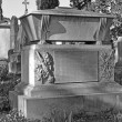 Il Cimitero degli Inglesi, Toc toc firenze, alessio giuntini