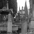 Il Cimitero degli Inglesi, Toc toc firenze, alessio giuntini
