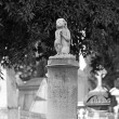 Il Cimitero degli Inglesi, Toc toc firenze, alessio giuntini