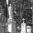 Il Cimitero degli Inglesi, Toc toc firenze, alessio giuntini