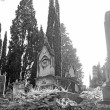 Il Cimitero degli Inglesi, Toc toc firenze, alessio giuntini