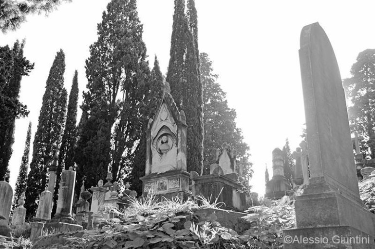 Il Cimitero degli Inglesi, Toc toc firenze, alessio giuntini
