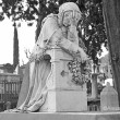 Il Cimitero degli Inglesi, Toc toc firenze, alessio giuntini