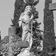 Il Cimitero degli Inglesi, Toc toc firenze, alessio giuntini