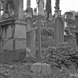 Il Cimitero degli Inglesi, Toc toc firenze, alessio giuntini