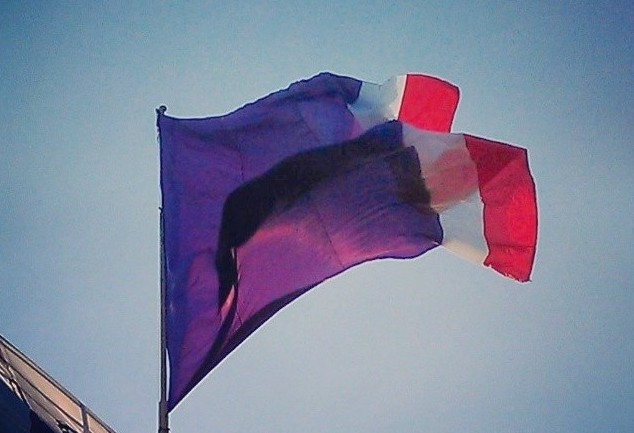 fiorentina, toc toc firenze