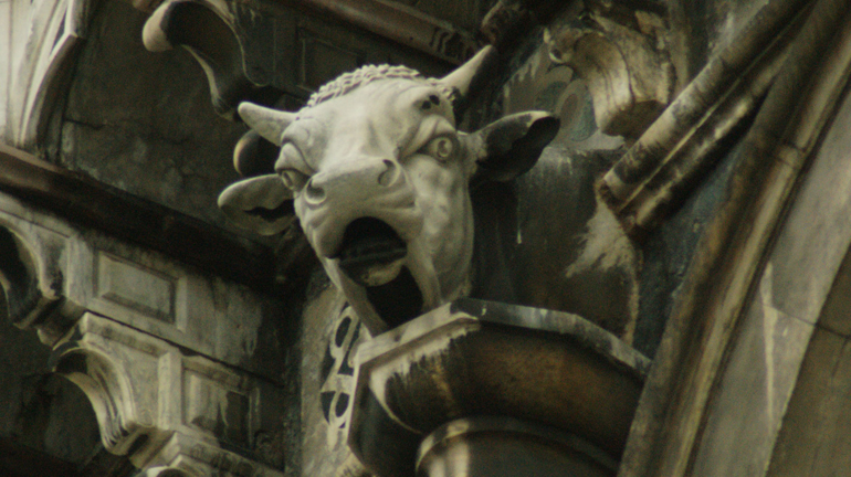 testa, toc toc firenze