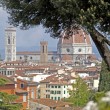 Varietà e bellezza al giardino delle Rose, Toc Toc Firenze