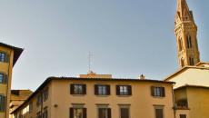 falsini 2