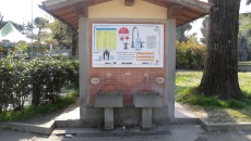 servizi pubblici, toc toc firenze