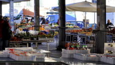 Sant'Ambrogio, Toc Toc Firenze