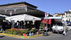 Sant'Ambrogio, Toc Toc Firenze