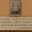 Dante, Toc Toc Firenze