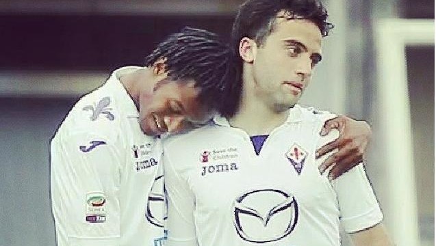 fiorentina, toc toc firenze