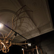 museo di leonardo, toc toc firenze, alessia ceccherini