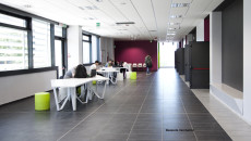 design a firenze, toc toc firenze, alessia ceccherini