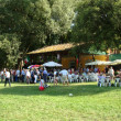 cascine di firenze,toctoc