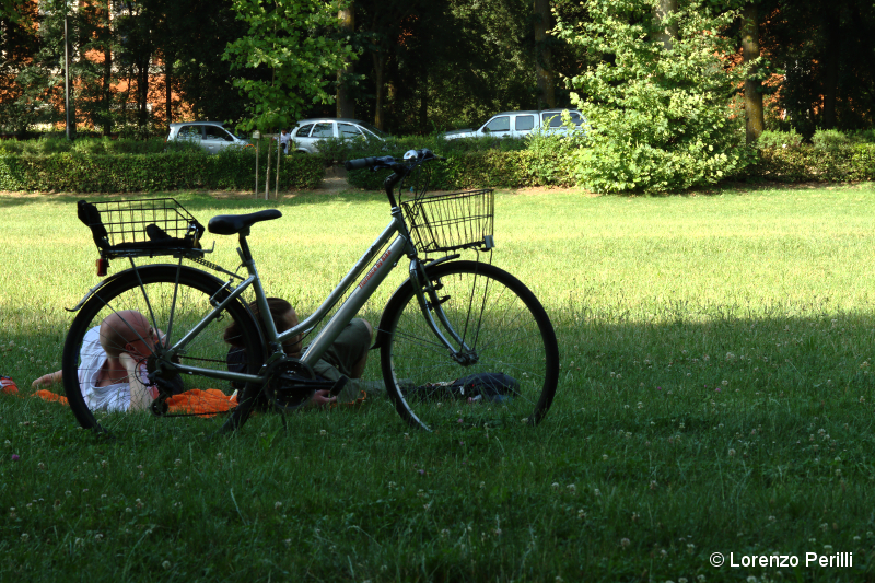 cascine di firenze, toctoc