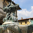 fontane a firenze, toc toc firenze