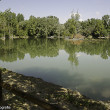 Parco, Toc Toc Firenze