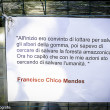 Parco, Toc Toc Firenze