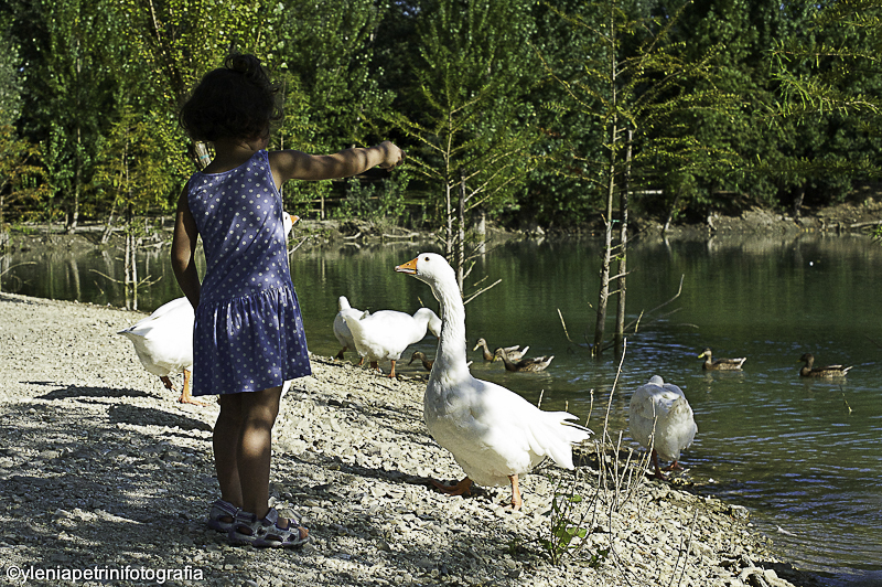 Parco, Toc Toc Firenze