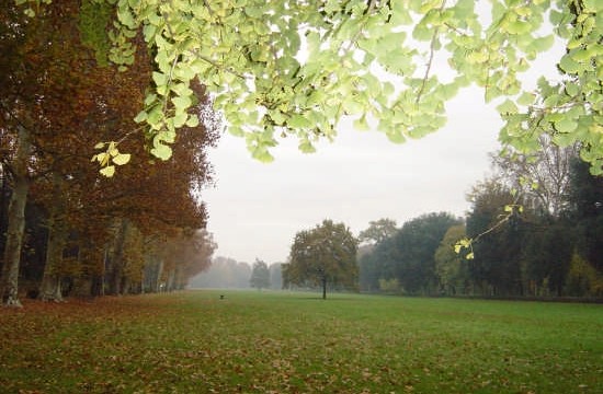 Parco delle Cascine, Toc Toc Firenze