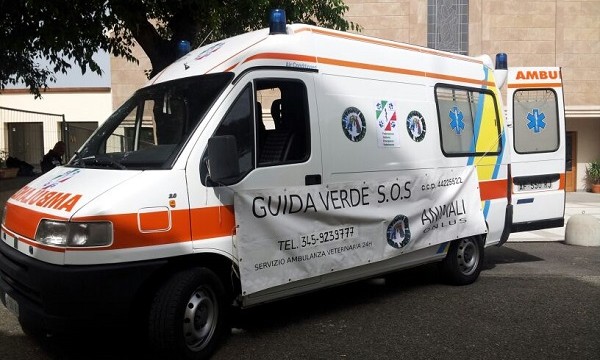 Raccolta alimentare, Toc Toc Firenze