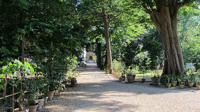 giardino dei semplici, toc toc firenze