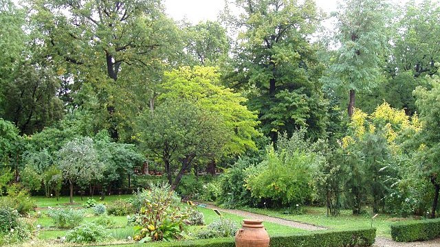 giardino dei semplici, toc toc firenze