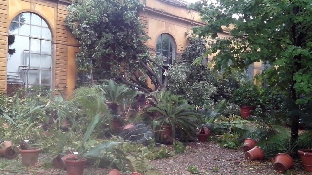 Giardino dei semplici