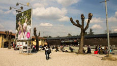 danzainfiera, toc toc firenze