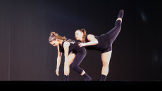 danzainfiera, toc toc firenze