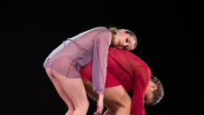 danzainfiera, toc toc firenze