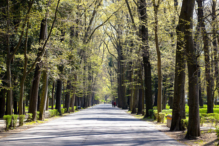 Eventi al Parco delle Cascine, Toc Toc Firenze