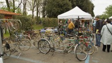 Florence Bike Festival, bici alle Cascine