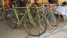 Florence Bike Festival, bici alle Cascine