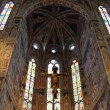 basilica di Santa Croce, toc toc firenze