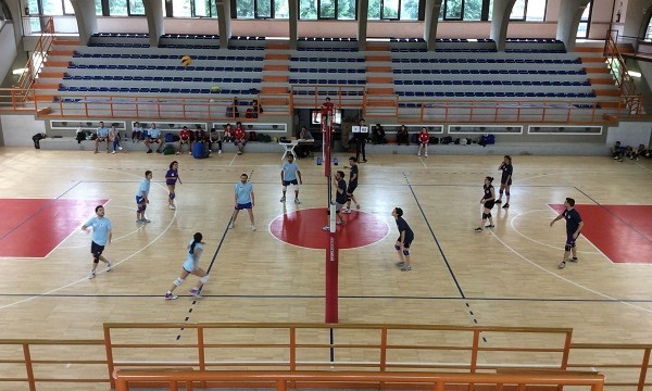 olifi, toc toc firenze