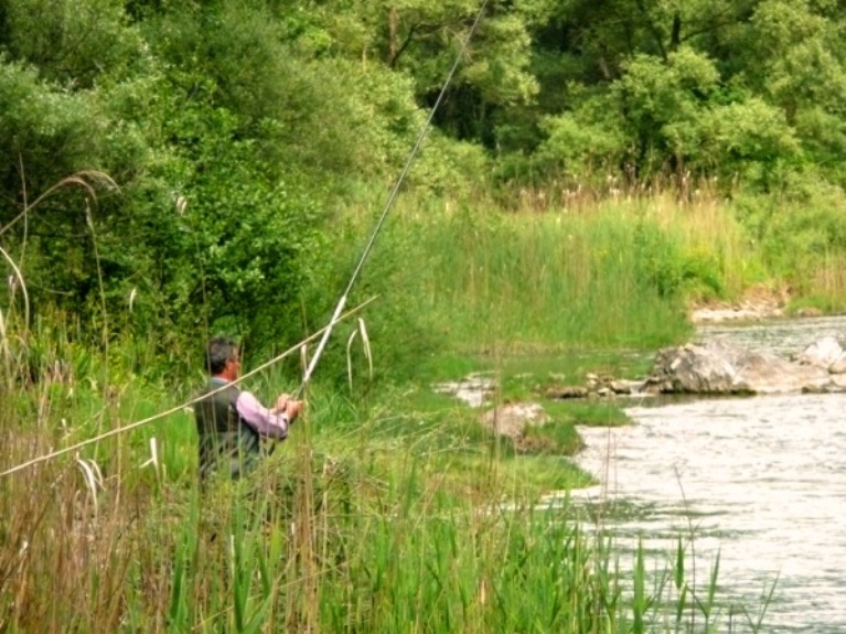 pesca sull'Arno, toc toc